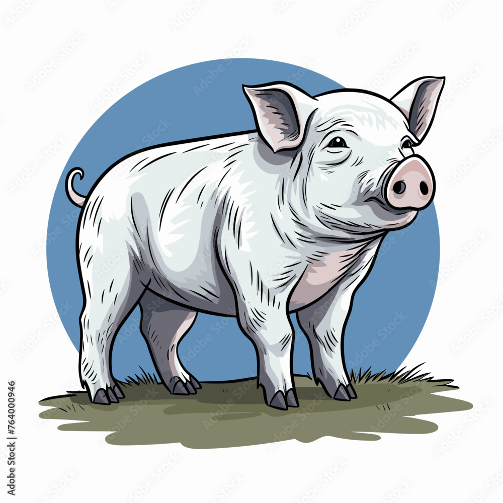 Hog hand-drawn illustration. Hog. Vector doodle style cartoon illustration