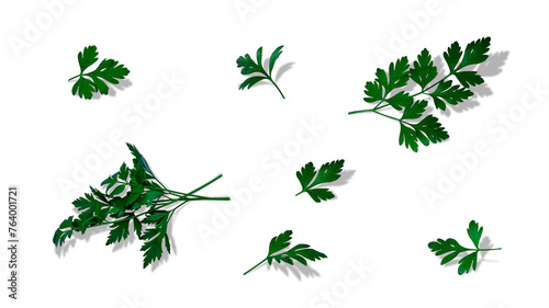 Set of various leaves, sprigs of parsley on an isolated transparent background. With a subtle shadow. Decoration of dishes, spices, herbs, medicinal plants. PNG