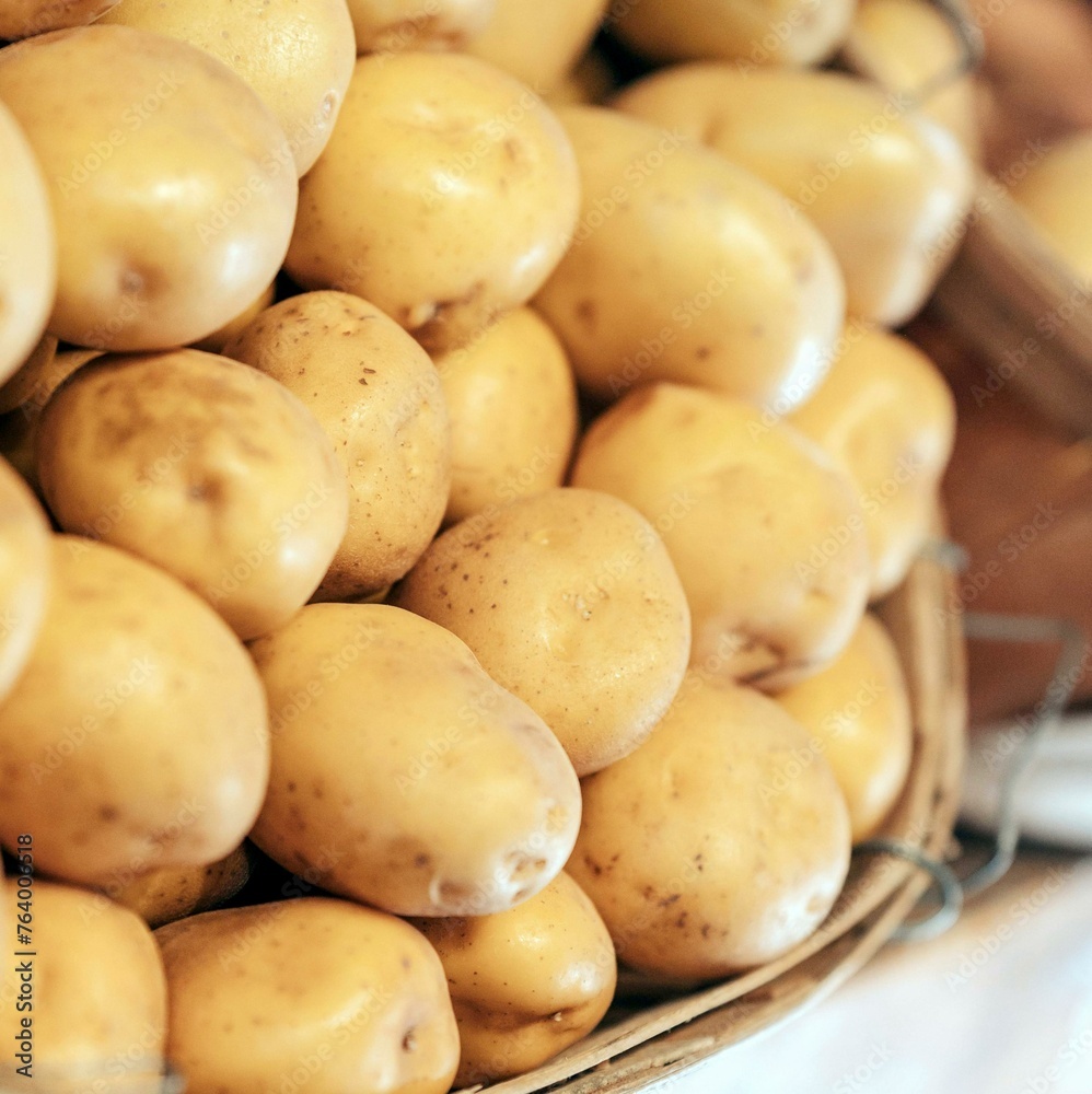 Freshly gathered potatoes at the market, highlighting their natural beauty and farm-fresh taste. Get your potatoes here! Freshly gathered potatoes at the market, highlighting their natural beauty and farm-fresh taste. Get your potatoes here!