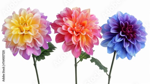 Flowers used in decorative arrangements
