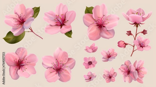 A spring flower bouquet featuring pink sakura cherry blossoms, branches, leaves and leaves isolated on a white background. Illustration of spring trees in bloom.