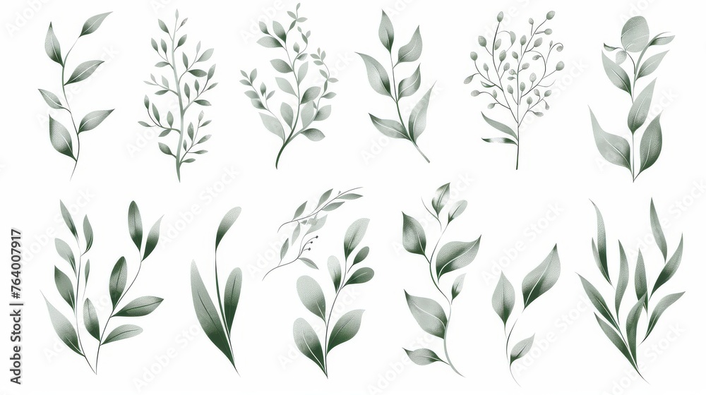 An elegant floral logo set with borders and dividers, frame corners, and branches. A plant design with boho lines to use for save the date cards and invitations. An elegant floral logo set with borders and dividers, frame corners, and branches. A plant design with boho lines to use for save the date cards and invitations.