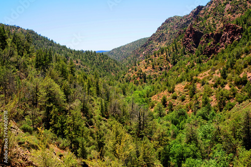 Tonto National Forest Arizona photo