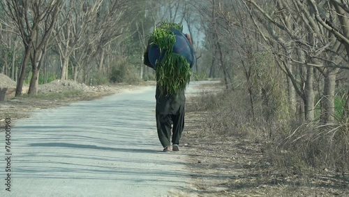 Pakistani Village Life: man Carrying Grass on Their Heads for Their Cattle, Slow-motion