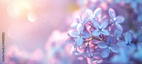 Lilac flowers double exposure greeting card template, copy space for text, nature background