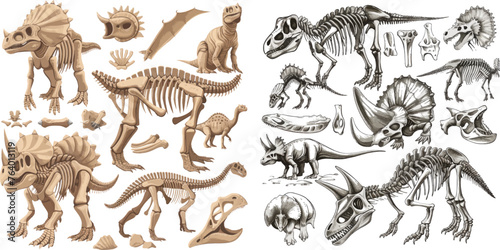 Remains of ancient animals vector illustration set