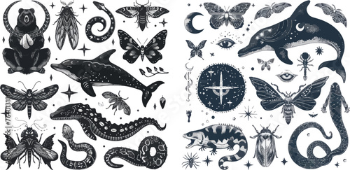Mystic boho witchcraft hand drawn animals and moths insects