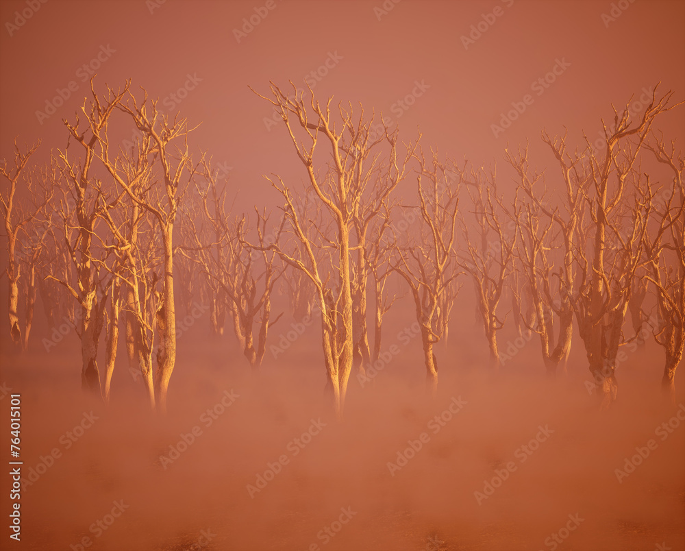 Dead trees in mist on forest ground during sunrise. Dead trees in mist on forest ground during sunrise.