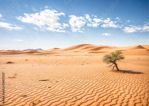 Desert landscape with lonely tree