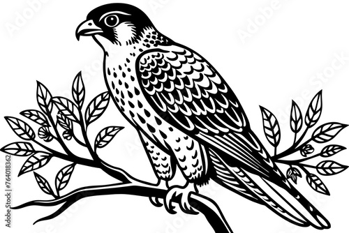  falcon-bird-is-sitting-on-a-tree-branch