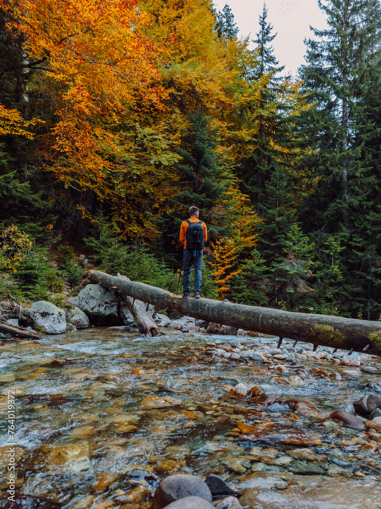 Man on a log over the river in autumnal forest. Mountain river and hiker traveller Man on a log over the river in autumnal forest. Mountain river and hiker traveller