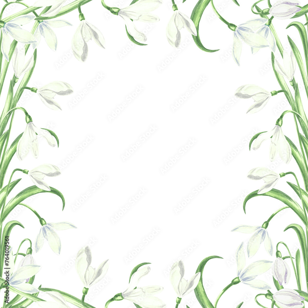 Square frame from white snowdrops flower with green leaves. Isolated hand drawn watercolor illustration of primroses. Floral spring postcard. Template with copy space for card, textile, scrapbooking. Square frame from white snowdrops flower with green leaves. Isolated hand drawn watercolor illustration of primroses. Floral spring postcard. Template with copy space for card, textile, scrapbooking.