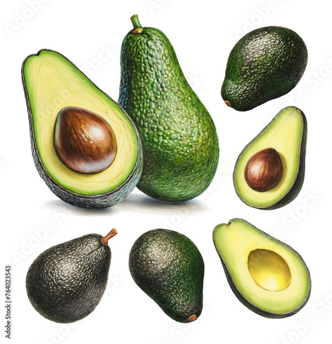 Illustrations of avocado. Color pencil drawings. Perfect for product packaging, home textile, stationery and other goods (ID: 764023543)
