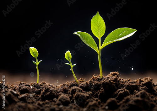 Green seedling illustrating concept of new life and business growth on black background