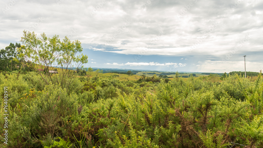 A view of the Brazilian Subtropical Highland Grasslands (Campos de Cima da Serra) in Sao Francisco de Paula, South of Brazil A view of the Brazilian Subtropical Highland Grasslands (Campos de Cima da Serra) in Sao Francisco de Paula, South of Brazil