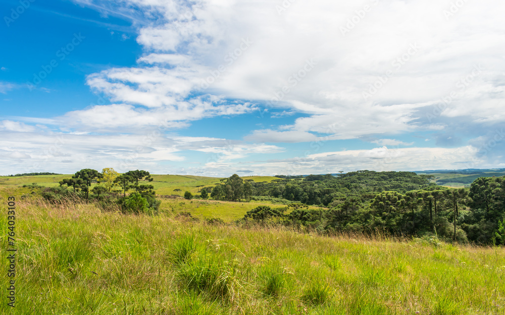 A view of the Brazilian Subtropical Highland Grasslands (Campos de Cima da Serra) in Sao Francisco de Paula, South of Brazil