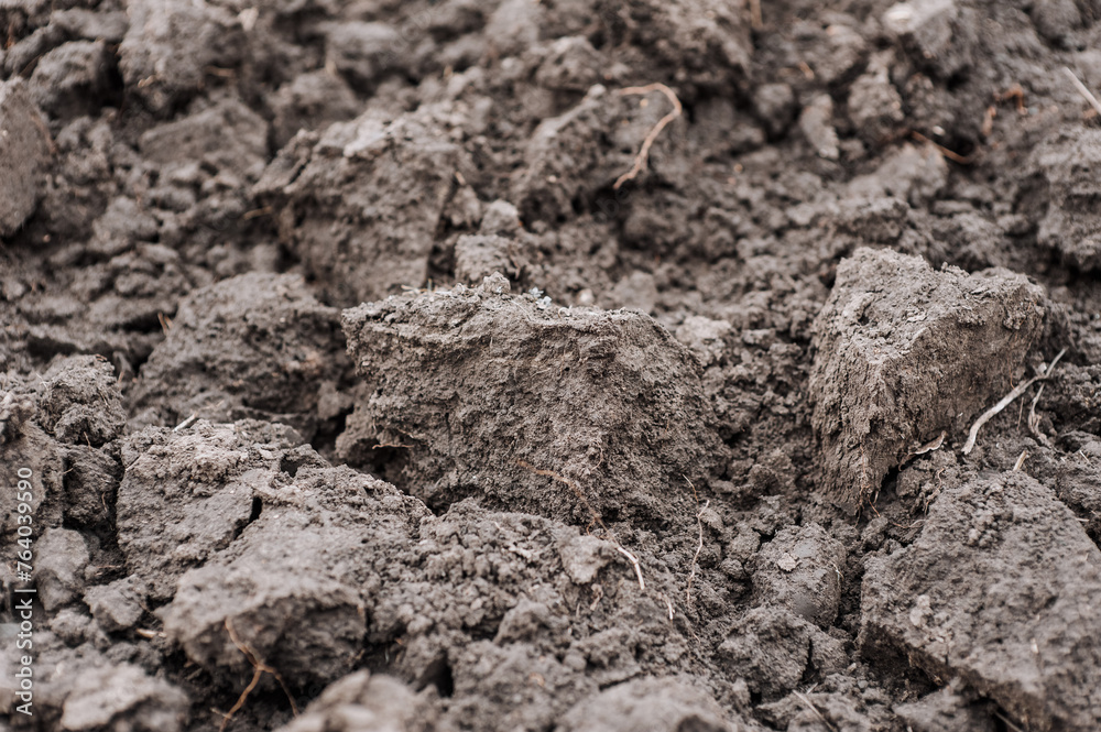 Background, texture of dug up dry earth, Ukrainian black soil. Nature photography, agriculture and gardening concept.