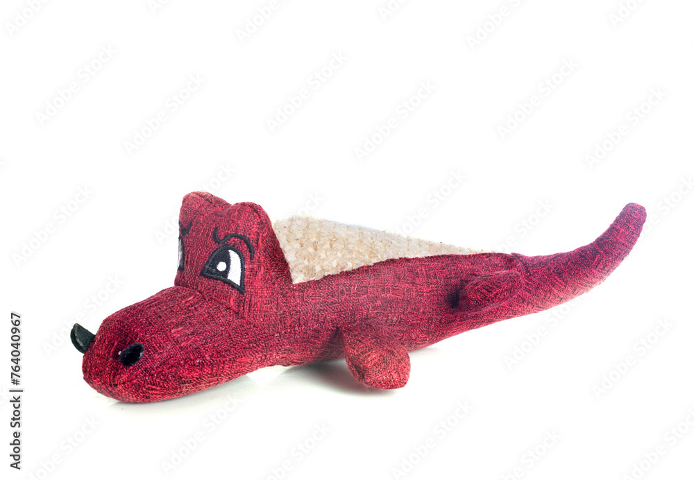 Fototapeta premium cuddly toy in studio