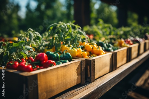 Organic farmers market - fresh vegetables in wooden boxes, vegetarian and vegan food concept