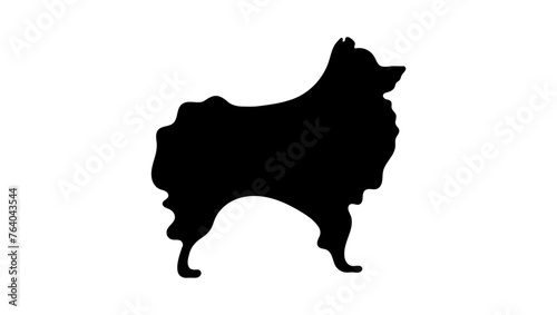 German Spitz, black isolated silhouette