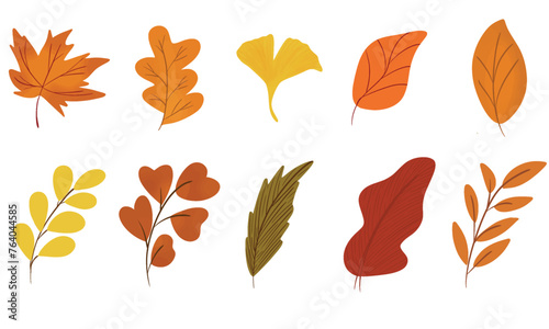 autumn leaves collection vector element soft color