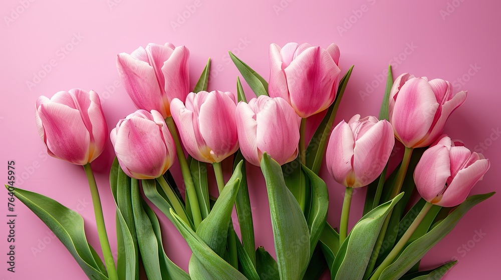 Spring Bouquet: A Beautiful Composition of Pink Tulips on Pastel Pink Background for Valentine's Day, Easter, Birthday, Women's Day, Mother's Day Flat Lay with Copy Space Spring Bouquet: A Beautiful Composition of Pink Tulips on Pastel Pink Background for Valentine's Day, Easter, Birthday, Women's Day, Mother's Day Flat Lay with Copy Space