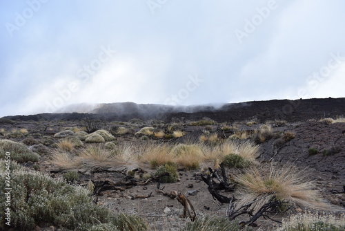 Paysage volcanique brumeux dans la caldeira de las Cañadas, située dans la plaine de Llano de Ucanca au sein du parc national du Teide à Ténérife dans les îles Canaries