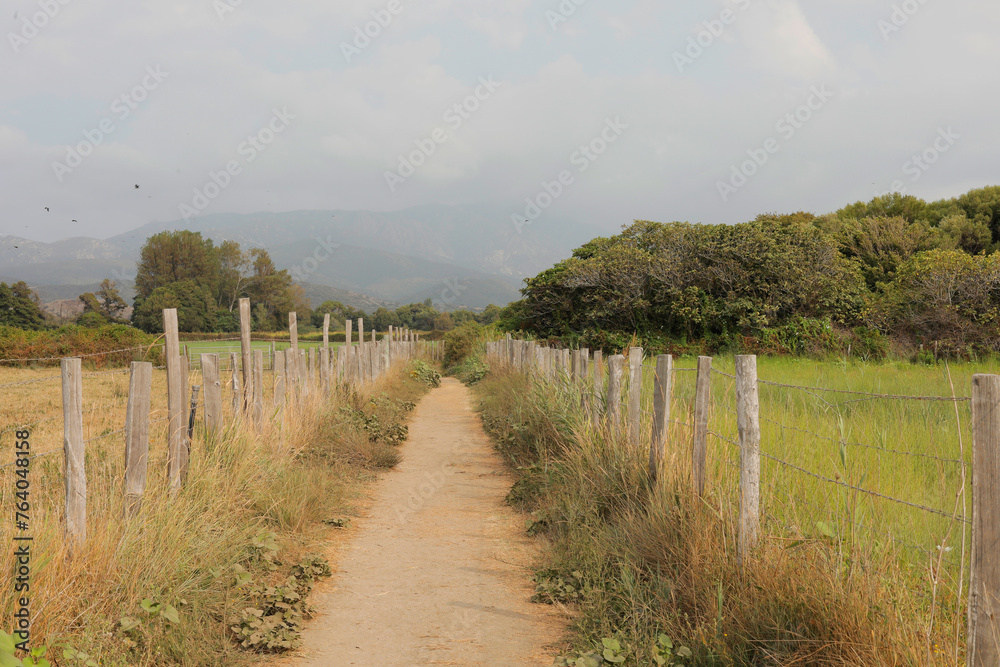 A pathway to wide farm land with white fence beside