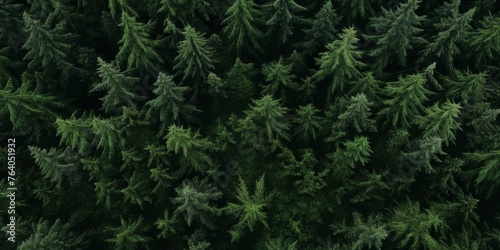 tree tops of a green forest bird s eye view Generative AI