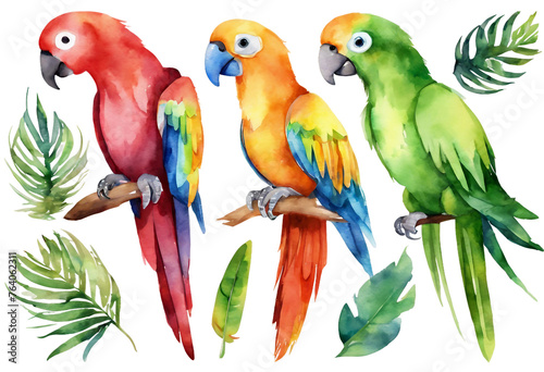 parrots on a branch, watercolor illustration