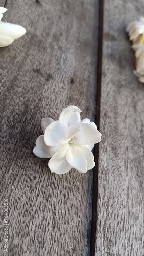 frangipani flower on wood