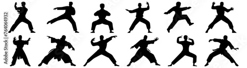 Fighter karate kung fu silhouette set vector design big pack of illustration and icon