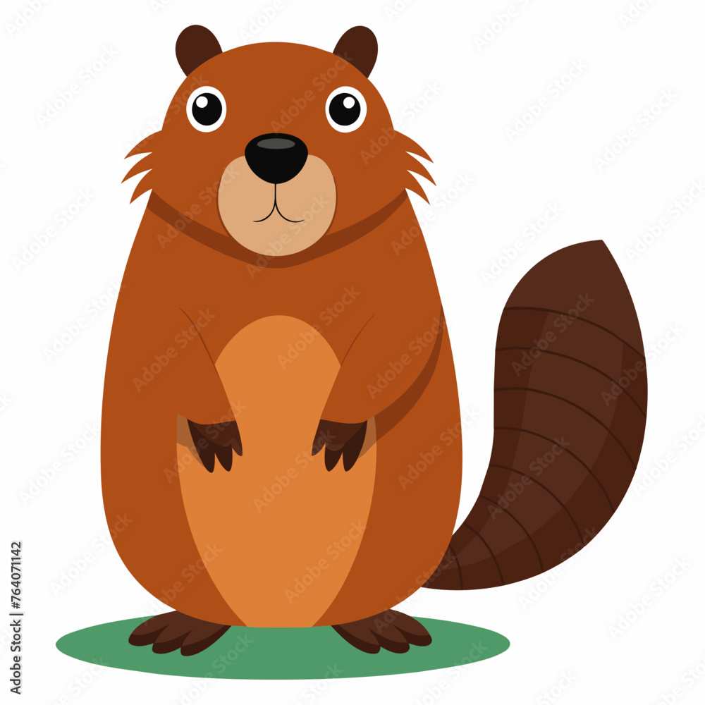 beaver cartoon illustration beaver cartoon illustration