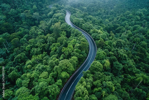 A winding road through a lush forest. The road is surrounded by trees and the sky is cloudy