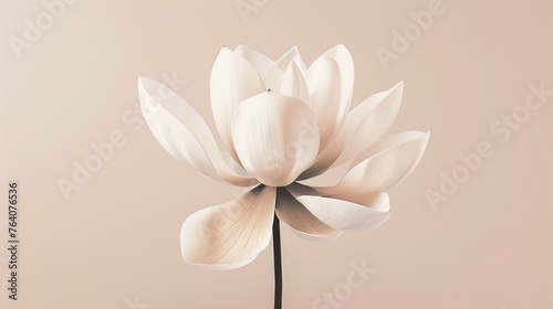 Elegant lotus flower on a pastel background