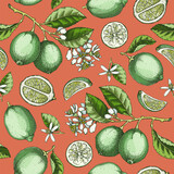 Lime fruit seamless pattern. Citrus fruit sketches. Mixed media botanical background. Exotic plants texture. Hand drawn vector illustration. NOT AI generated