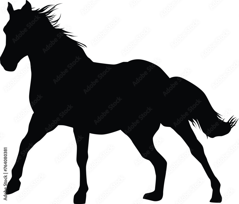 Silhouette of horse full body illustration in vector Silhouette of horse full body illustration in vector