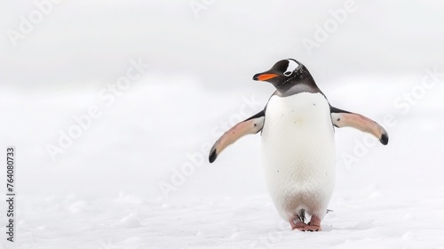 A charming penguin waddling across the scene  bringing smiles effortlessly against a pure white background.