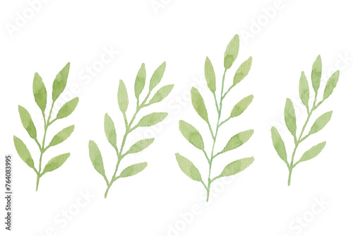Assortment of watercolor leaves illustration set - green leaf branches collection for wedding, greetings, stationary, wallpapers, fashion, background. olive, green leaves, Eucalyptus etc