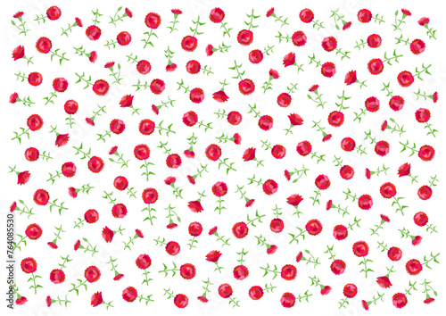 赤いカーネーションの花柄背景イラスト