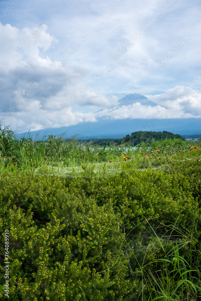 View of Mount Fuji and green meadow with cloudy sky