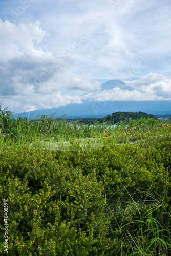 View of Mount Fuji and green meadow with cloudy sky