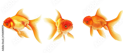 Collection of 3 cute gold fish In different view isolated on white background PNG