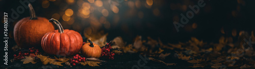 Thanksgiving day concept. Autumn background. Halloween Pumpkins. Orange pumpkin over beauty autumnal fall nature background. Harvest, banner, dark background with space for text.