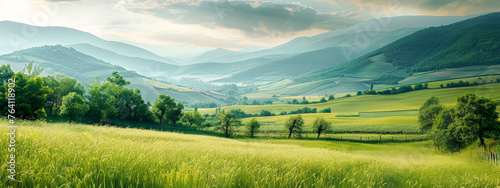 A beautiful, lush green field with a mountain in the background