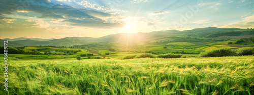 A field of grass with a bright sun shining on it