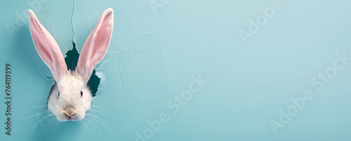 Easter bunny ears sticking out of a hole on a pastel blue background