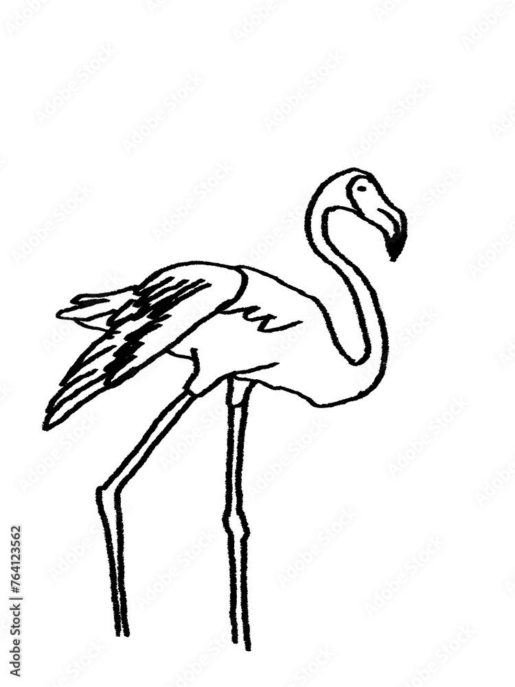 Obraz premium Flamingo