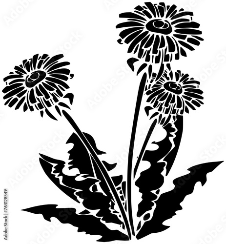 dandelion illustration plant silhouette nature logo flower icon floral outline leaf summer spring garden blossom natural decoration bloom flora shape foliage botanical grass for vector graphic