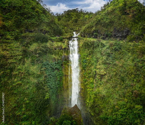 waterall in hawaii surrounded by green foliage